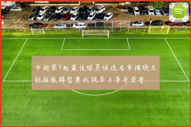 中超第9轮最佳球员候选名单揭晓王钰栋张稀哲费利佩泽卡争夺荣誉