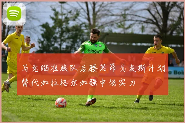 马竞瞄准狼队后腰若昂戈麦斯计划替代加拉格尔加强中场实力